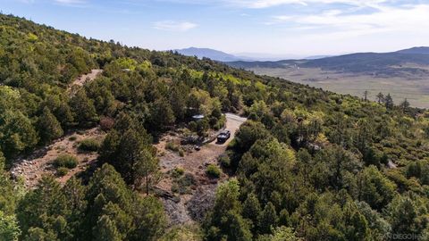 15962 North Peak Rd. 39 Julian CA 92036