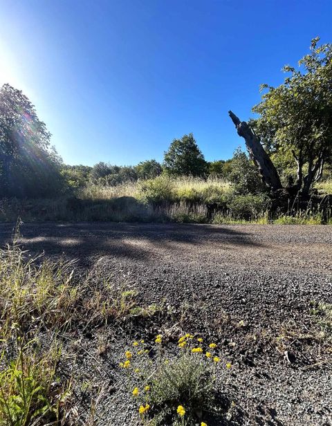 Oak Way 24 Julian CA 92036