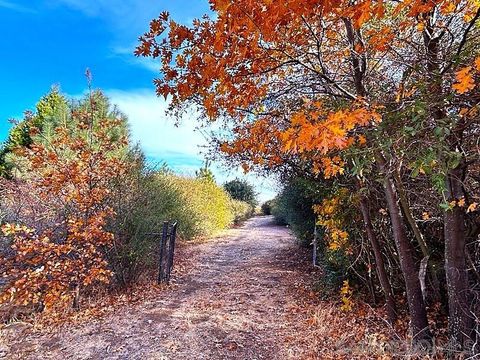 0 Birdsell Lane 33 Julian CA 92036