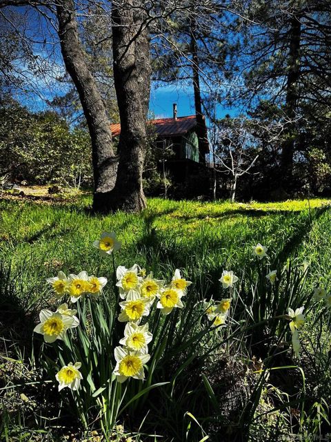 721 Pine Cone Drive Julian CA 92036
