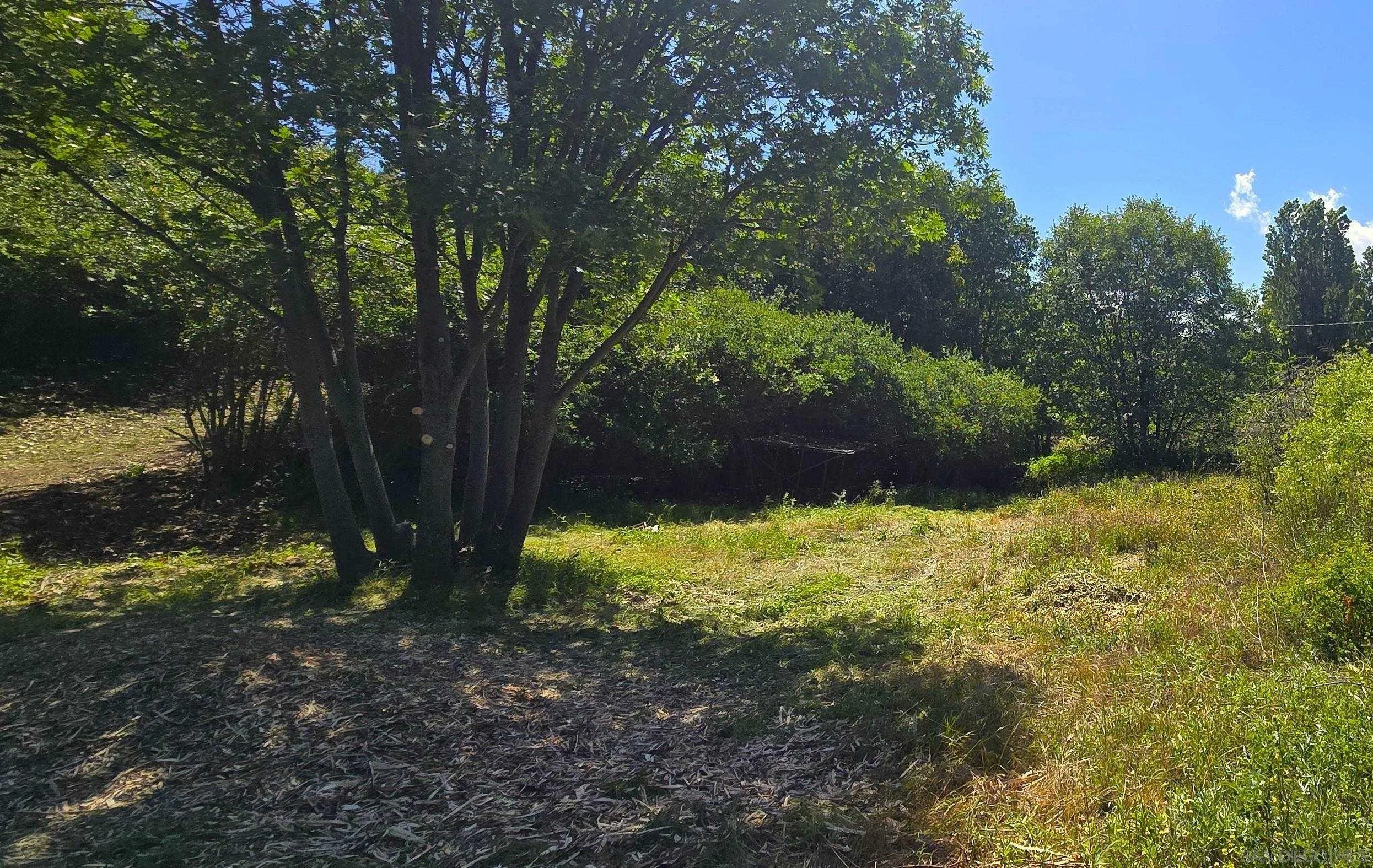 38 Creek Rd. 66, 13