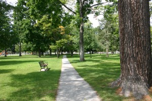 The Amherst Village Green, or Common, is the scene of community gatherings, school outings, and leisurely afternoon strolls.